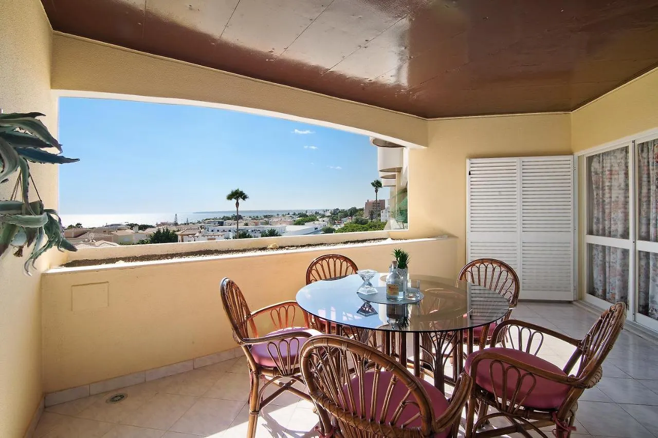 Apartamento Palmeira Gale